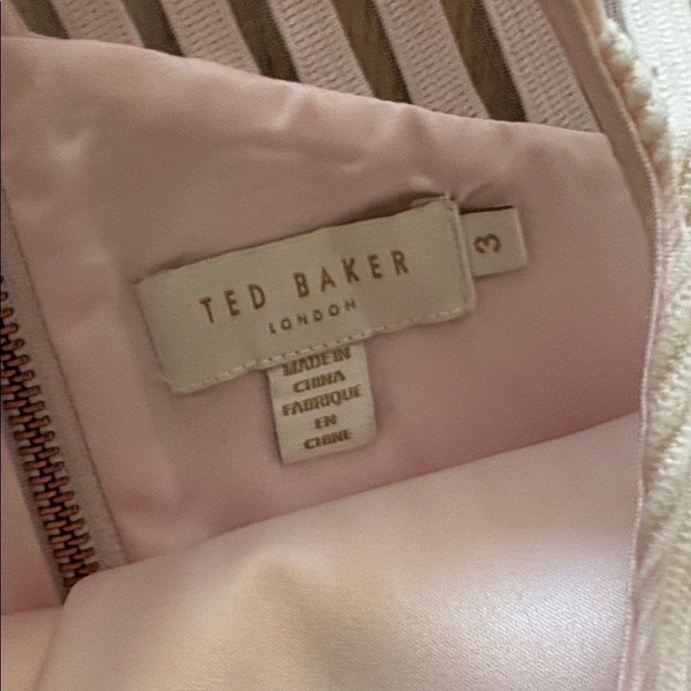 Ted Baker Pale Pink Dress with Sheer Stripe Accents 3 - Picture 2 of 6
